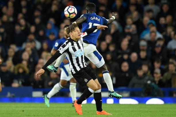 年轻球队的 年轻球队的